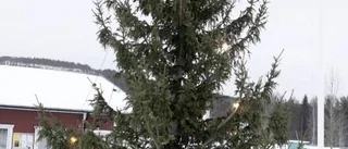 Grantoppar och rishögar i grannlaga granskning