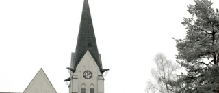 Ny skatt leder till mer skogsavverkning
