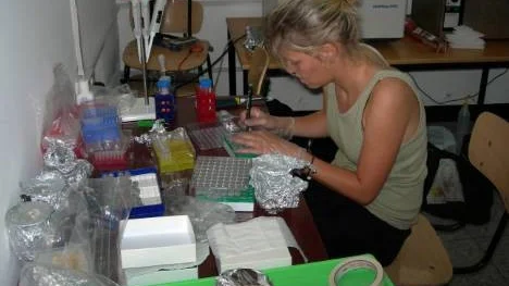 Josefine tar vävnad från en sjöborre i labbet på Insitute of Marine Science, Zanzibar.