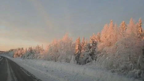Från Piteå mot Storlångträsk. Fotografen har just passerar Storgranliden