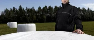 Balning i krisens skugga