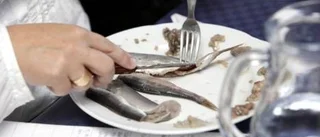 Mannerströms vinnare i akademiskt test