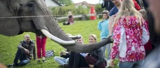 Fria ord: Cirkuslivet inget för djuren