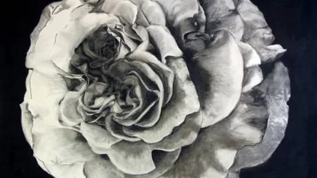 KONTRASTER. Den kollektiva rosen är en stor målning i kol av Kirunakonstnären Agneta Andersson. Rosen står bland annat för stadens arbetarbakgrund men också för kontrasterna mellan det vackra landskapet och gruvan.