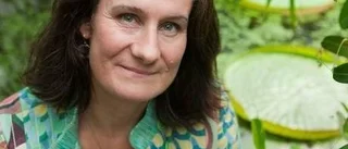 Om makt och att närma sig de andra