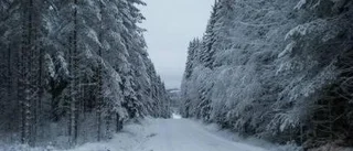 Mycket mild december