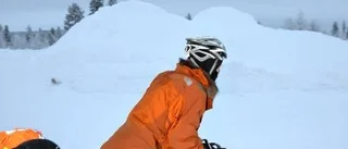 Japansk midvintercykling