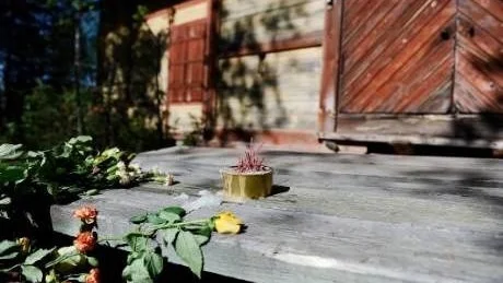 THAILÄNDSK CEREMONI. Ett 30-tal personer, både släkt och vänner, samlades för en ceremoni vid ödehuset i skogen vid Mjösjöberget.