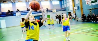 Basket och lek på Bergs