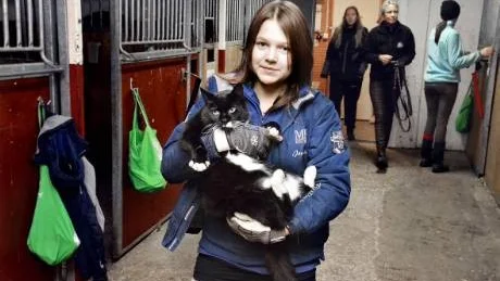 Bull. Josefina Marjeta kelar med stallkatten Bull innan teorilektionen börjar.