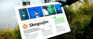 Hertsöstigens guldkorn invigs