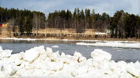 ODRAMATISK. SMHI:s senaste prognos bedömer att islossningen i Torneälven är av lättare karaktär.