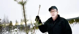Stora förluster i älgarnas spår - problemet växer