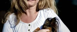 Russkiy toy - en stor liten hund