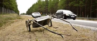 Skenande häst efter väg 97