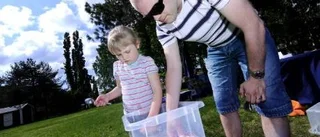 Blöt utställning i Stadsparken