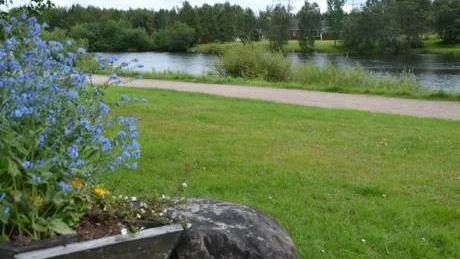 OBEBYGGD MARK. Stranden längs Vassaraälven mitt emot Karlgrens slakteri i Gällivare är obebyggd. Marken har pekats ut som en tänkbar plats att bygga bostäder på. Foto: Johan Thyni