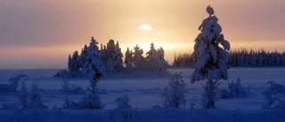 I mitt trädgårdsrum