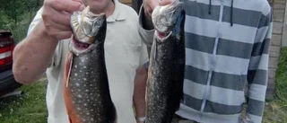 Liten fiskare tog största fisken