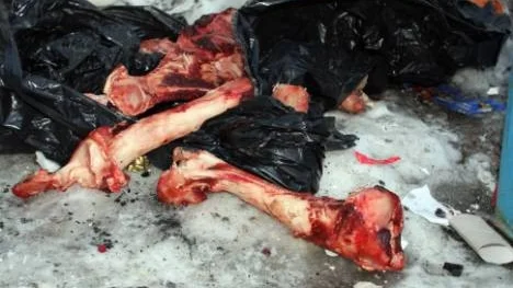 Det var det här, det dumpade slaktavfallet, som fick Öjebyborna att uppröras allra mest över svineriet vid återvinningsstationen.