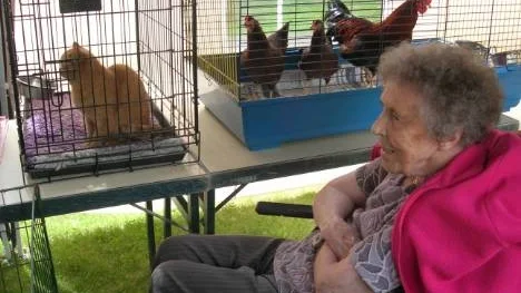 Elsa  tittar på några av djuren