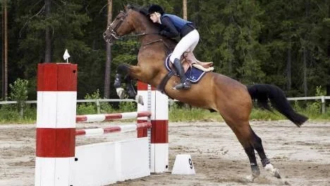 Johanna Sandberg och Milford, Piteå RK, på väg mot DM-guld i juniorklassen där det blev en trippel för hemmaklubben.