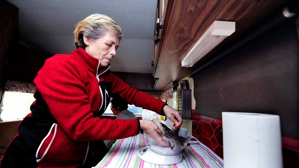 Mätdags. Gurli Bränvall väger de godkända fiskarna för att se vem som kammar hem segern.