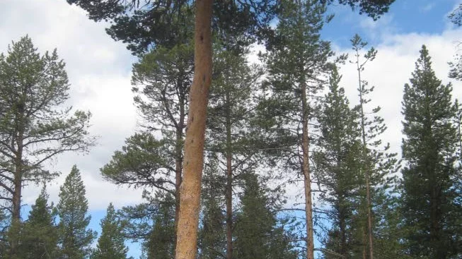 Paus. Första stoppet gjordes vid Suptallen.
