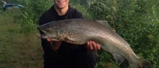 I öringklassen tätnar toppstriden