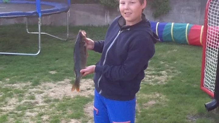 Abborreledare. Per-Hendrik Länta, 11 år från Jokkmokk, tar täten i abborreklassen med den här firren på 1500 gram. Han fiskade med kastspö i Vaikijaursjön, och hade en jigg som bete.