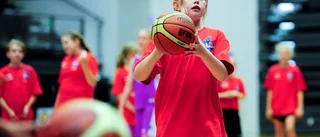 Basket från morgon till kväll