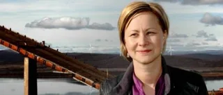 Vem ska styra Kiruna?