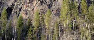 Här står klättring högt i kurs