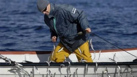Fiskelycka. Bengt Berglund sliter hårt med de fyllda näten. De silverglänsande strömmingarna ska tas om hand direkt när båten kommer in i hamn. Foto: Håkan Stridblom