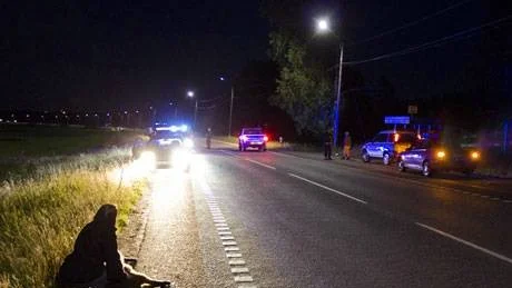 Foto: Erik Karlén
Sorgen var stor över de får som blev överkörda vid natten trafikincident i Gäddvik.