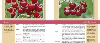 Våra fruktsorter på pränt i ny bok