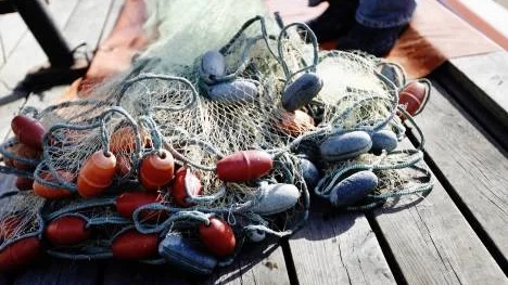 Ett så kallat strömmingsskötar används för att fiska strömming.