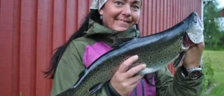Storöringen tog räkan