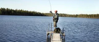 Torrbergstjärn ger känslan av en fjällsjö