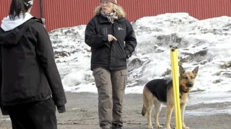 Hundläraren Mia Henriksson berättar att utbildningen är mindre hobbyinriktad och mer yrkesorienterad i dag.