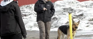 Elever med intresse för djur
