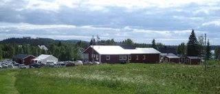 Gråträsk i mitt hjärta
