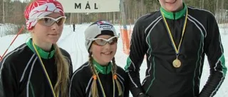 Alla tog medalj i Lilla Andörjan