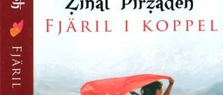 Zinat Pirzadeh gör romandebut