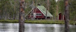 Kvarntjärnen - i toppskiktet av vackra skogssjöar