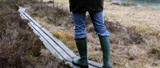 Regnbågarna nappar i Svensbyn