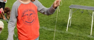 Lisa från Ryssland kom till hundexpo