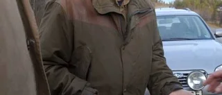 Sångsvanar grumlar vattnet i damm