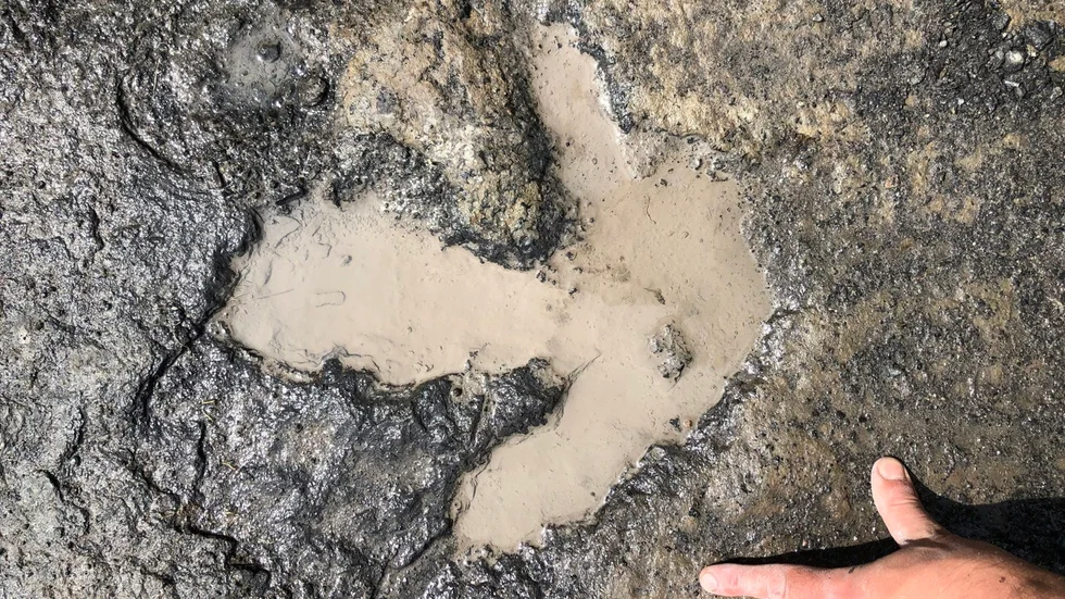 Forskare undersöker ett dinosauriefotspår.