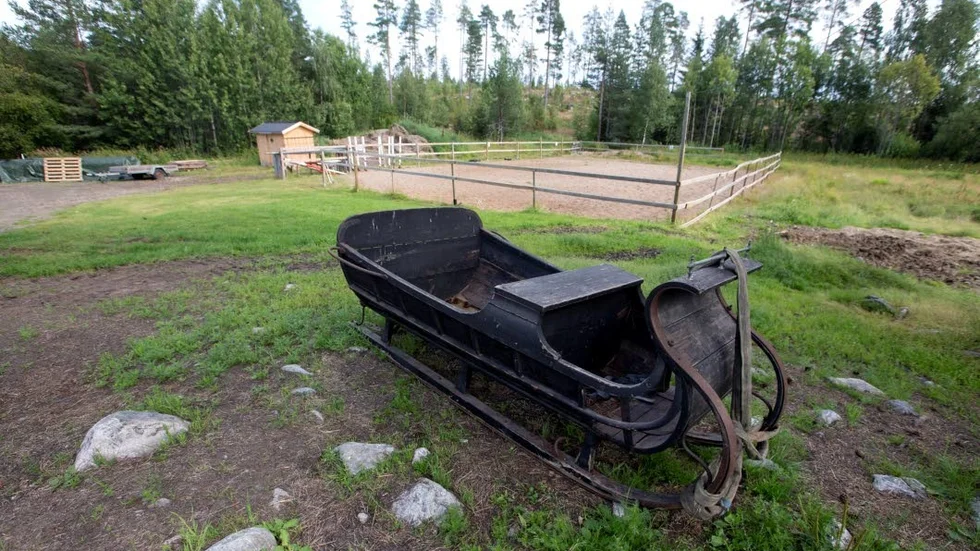 Rissla. Släde på vintern och vagn på sommaren. Tanken är att hästarna ska erbjuda aktiviteter åt gästerna.
